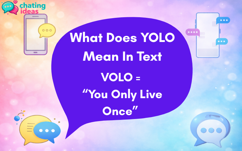 what does yolo mean in text
